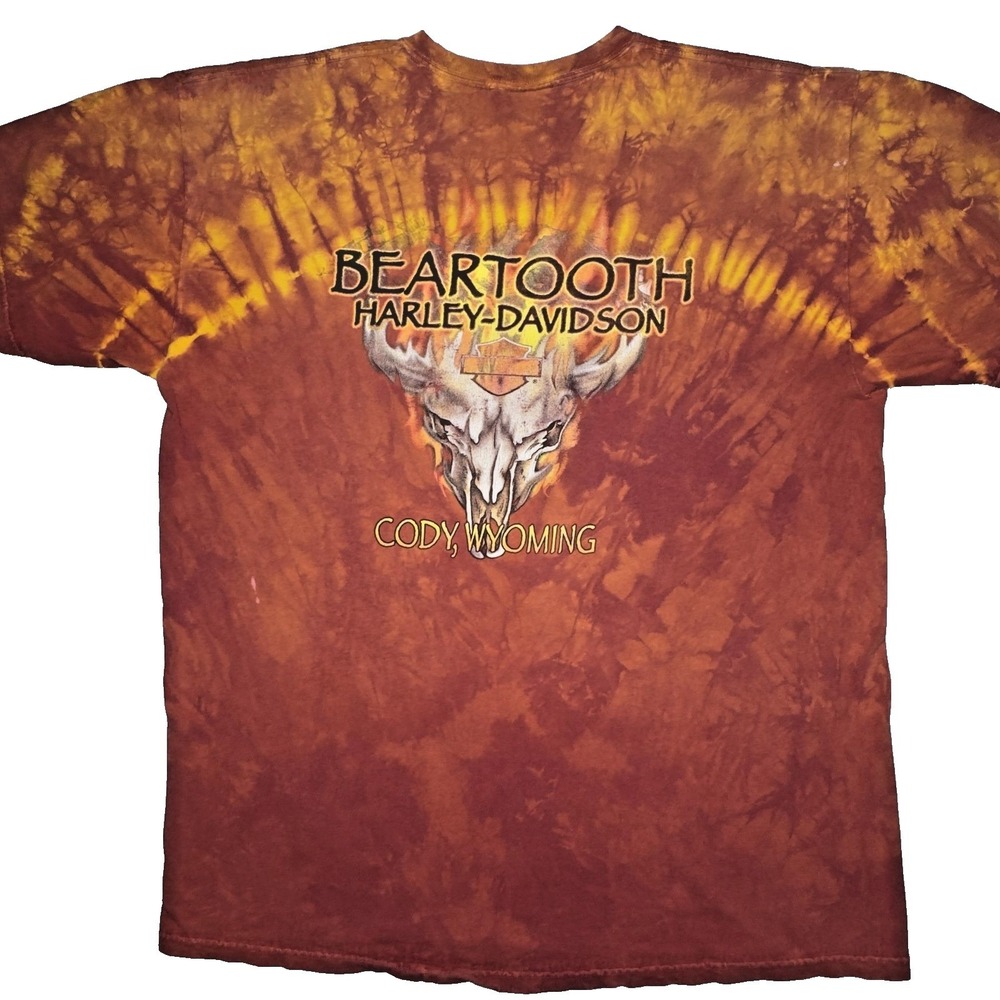 Harley Davidson Shirt Mens Large Beartooth Wyoming Motorcycle Tie Dye 2010s